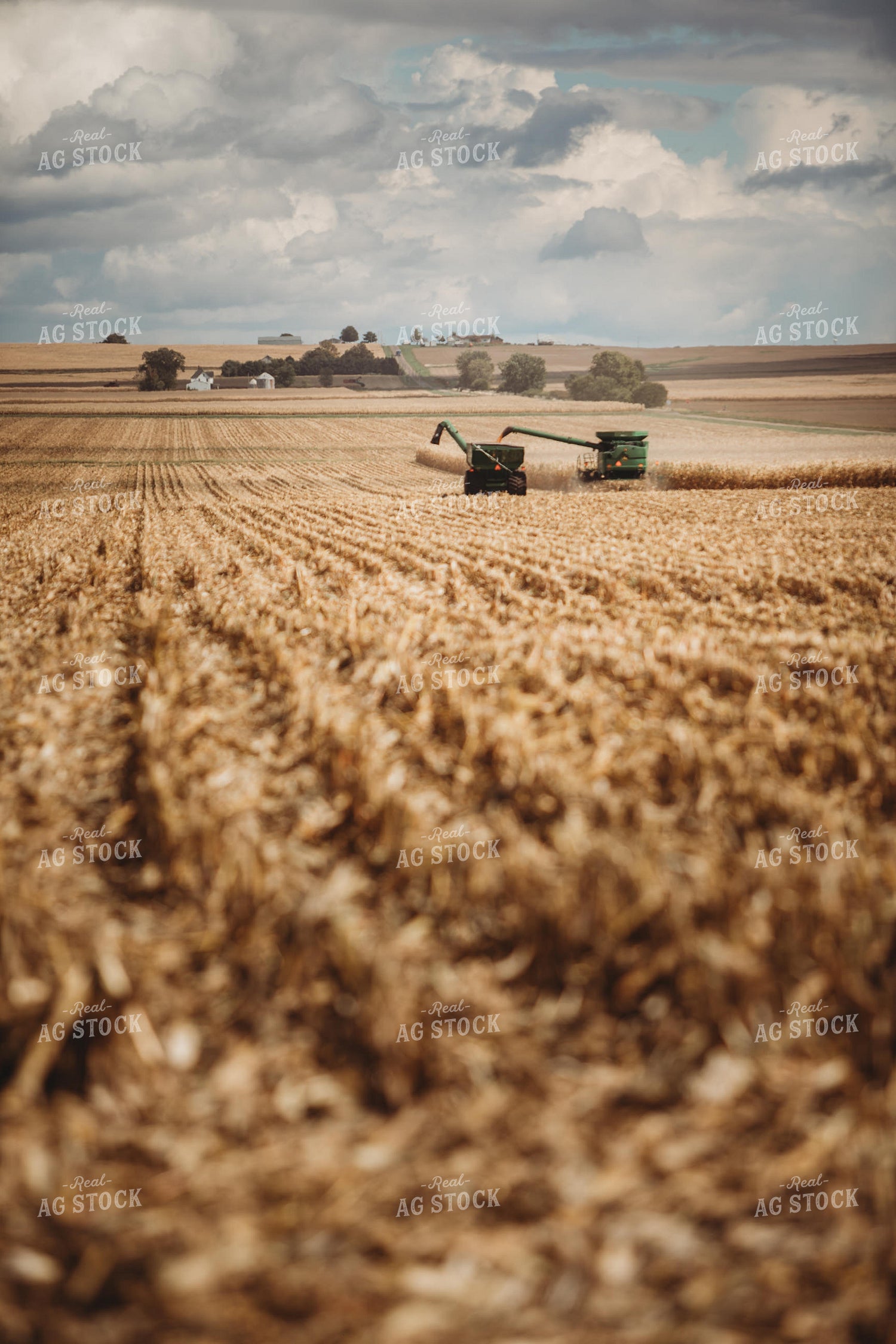 Combine Unloading Corn onto Auger Wagon 3319