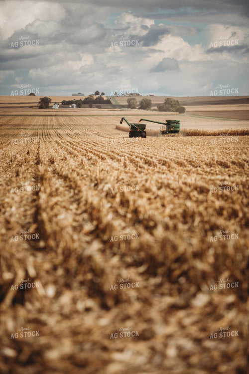 Combine Unloading Corn onto Auger Wagon 3319