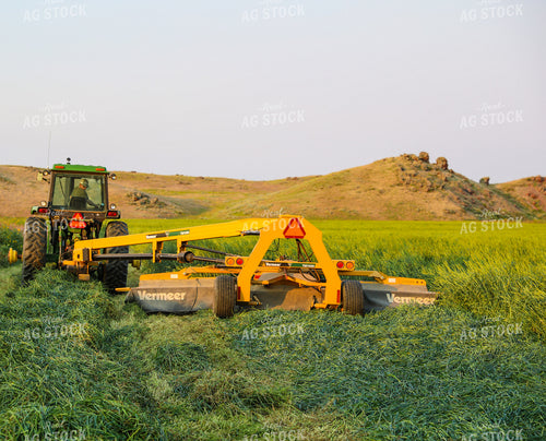 Cutting Green Willow Creek Winter Wheat 87016
