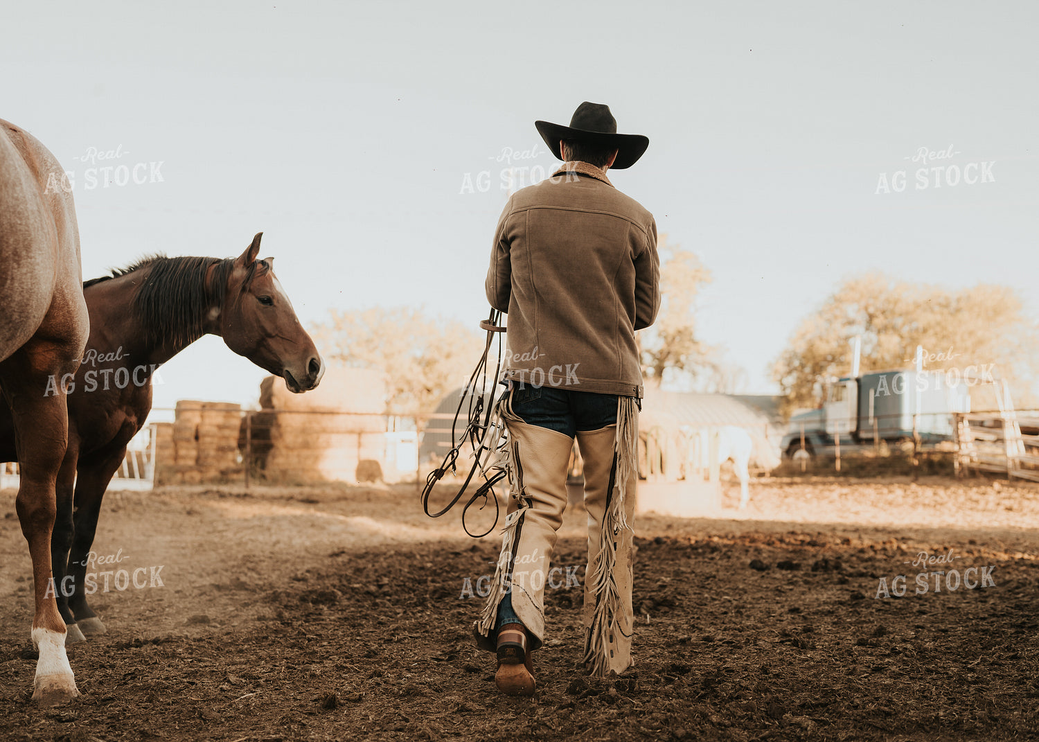Cowboy 61175