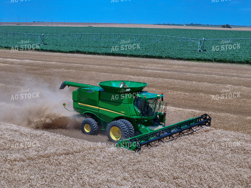 Wheat Harvest 239274