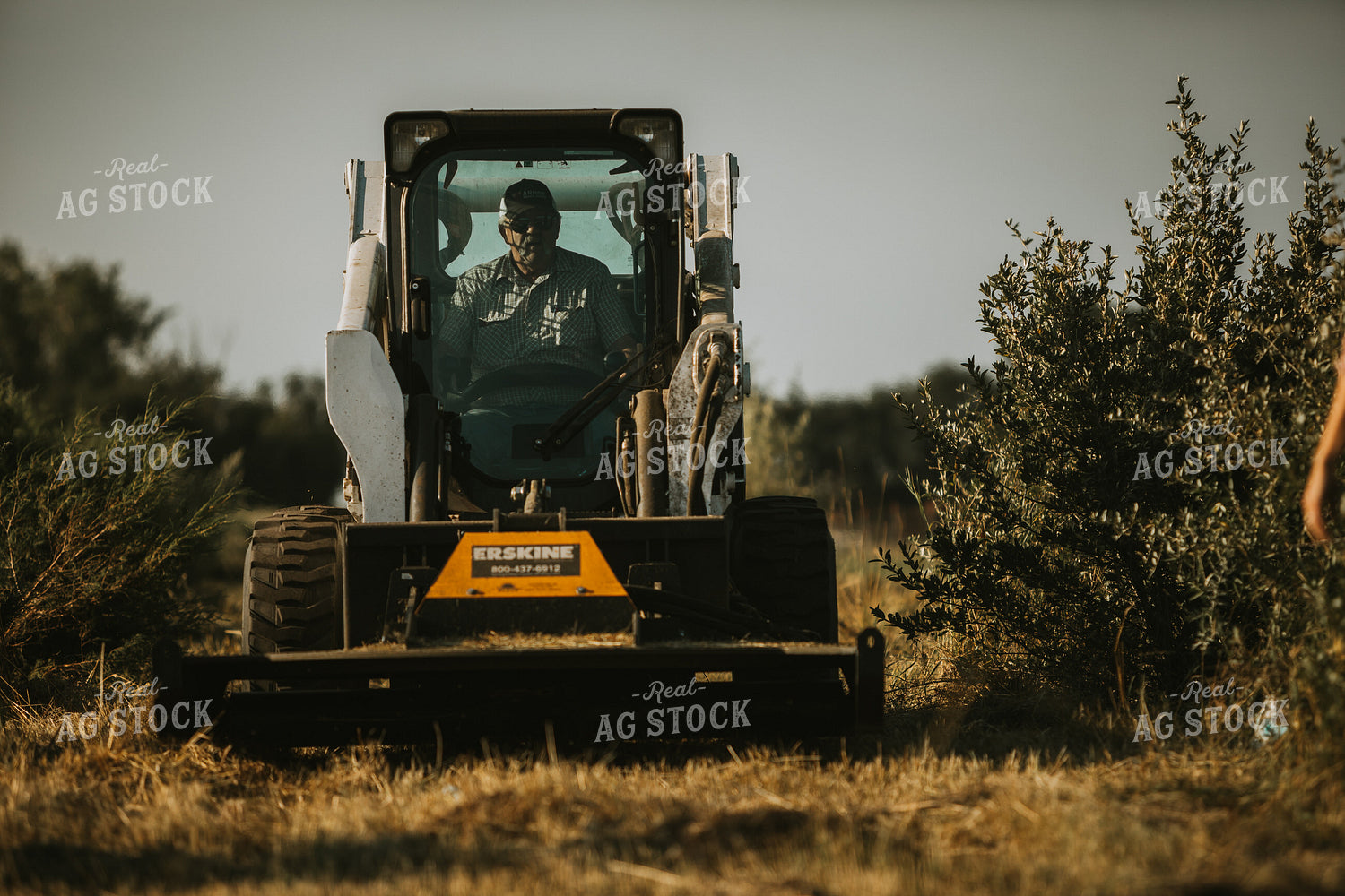 Skid Steer in Nursery 6373