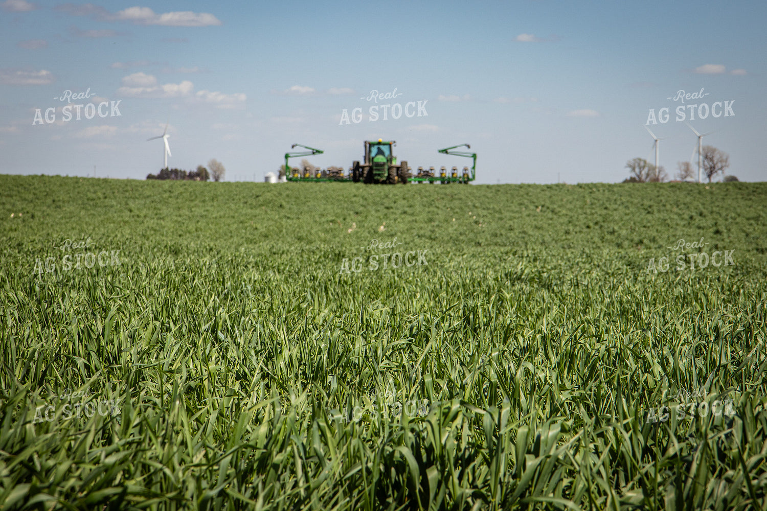 Planting into Cover Crops 67674