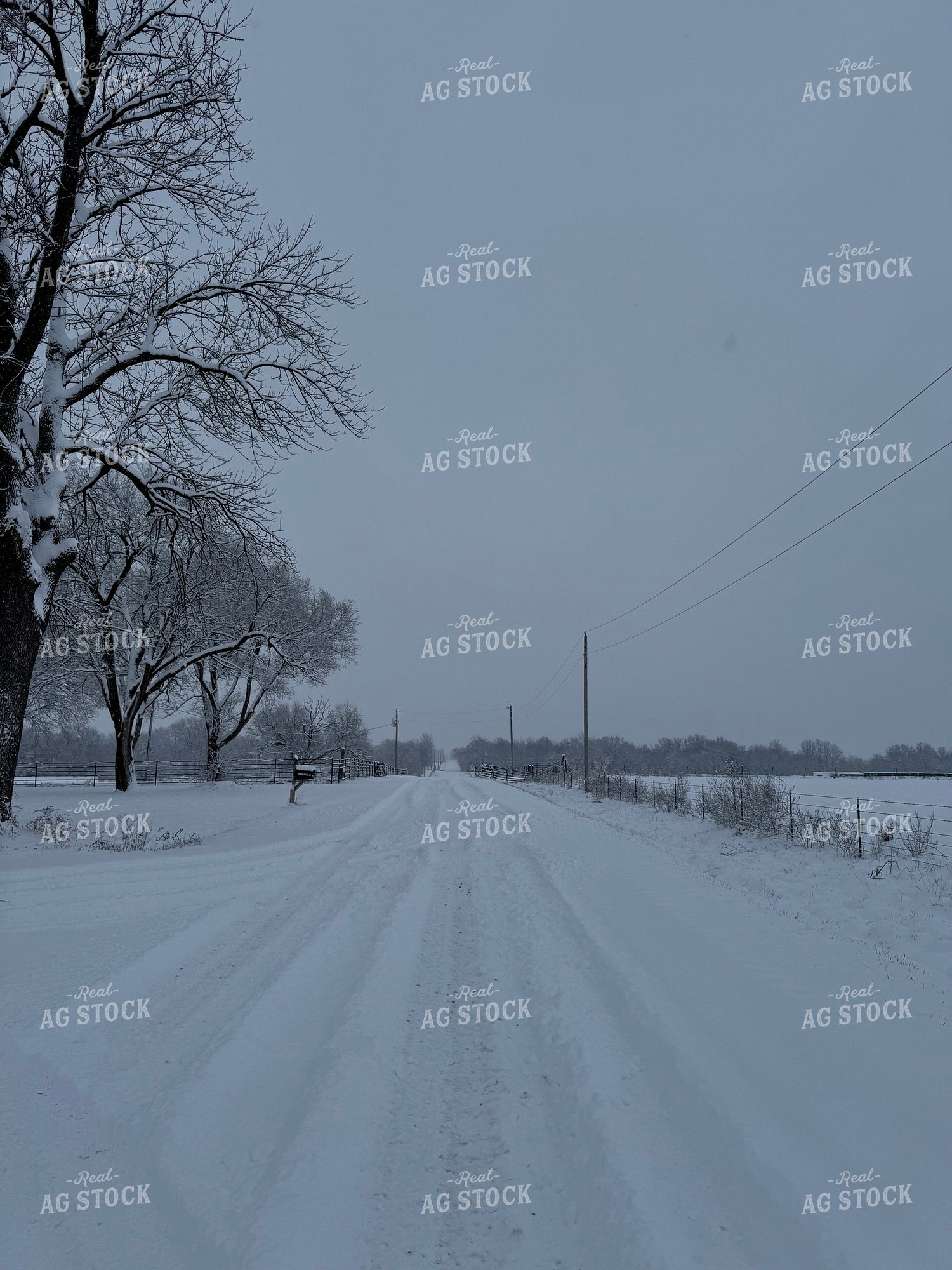 Snow Covered Rural Road 228011