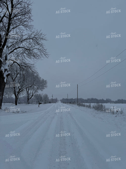 Snow Covered Rural Road 228011