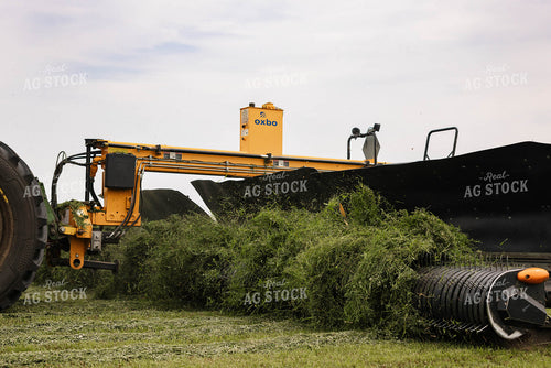 Merging Hay 152653