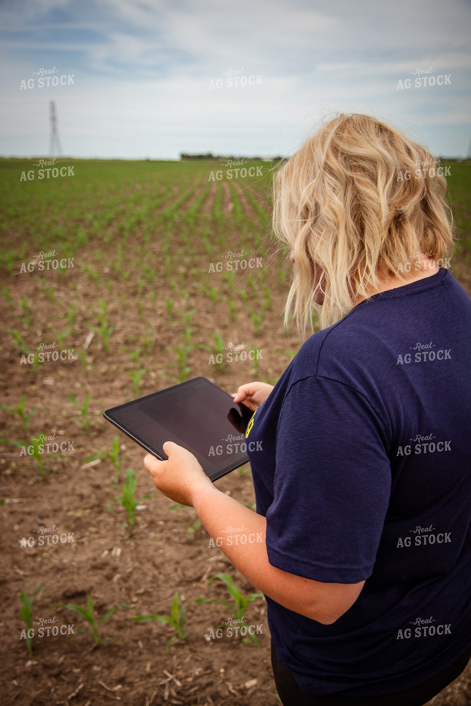 Female Agronomist Scouting Field 67744