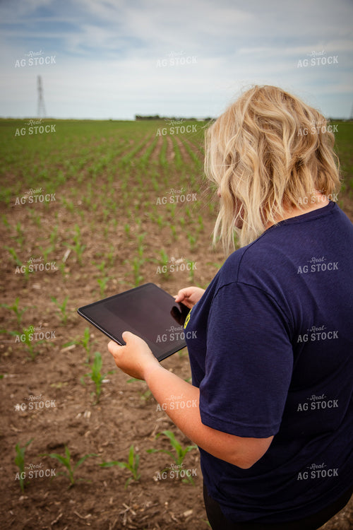 Female Agronomist Scouting Field 67744