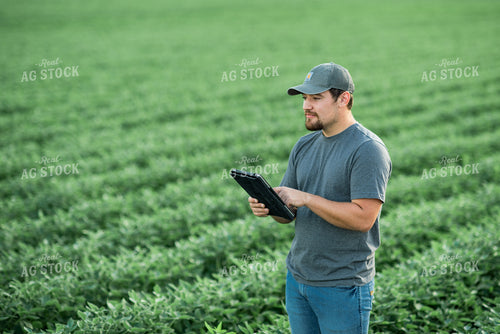 Farmer on Tablet in Soybean Field 274010