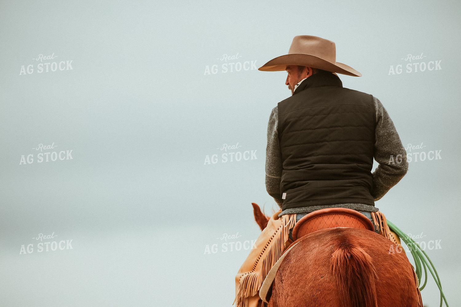 Rancher on Horseback 275001