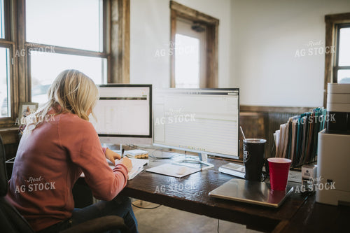 Woman Working at Computer 5308