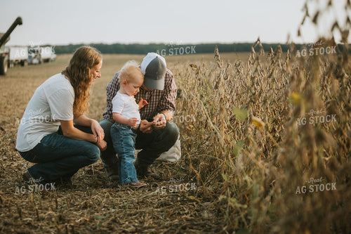 Farm Family Testing Soybean Moisture 4818
