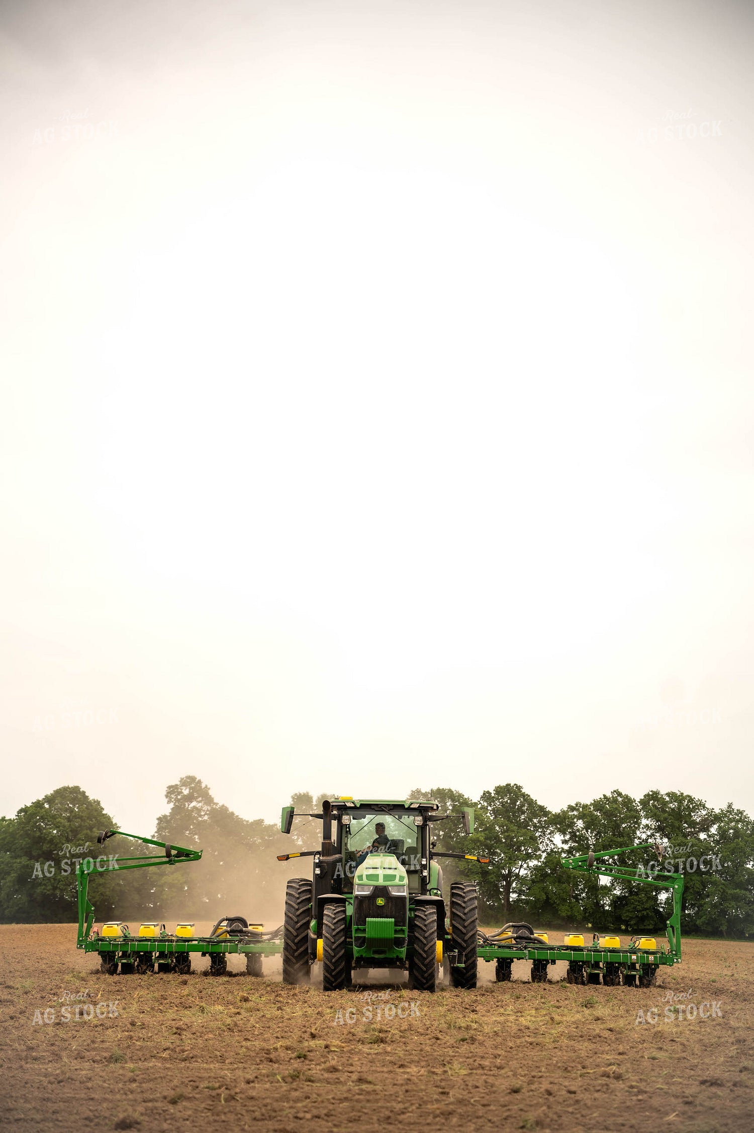 Planting 115683