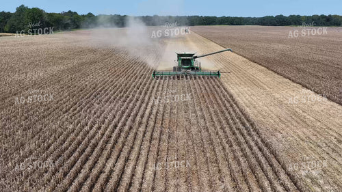 Soybean Harvest 79886