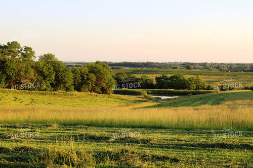 Scenic Pasture Ground 214003