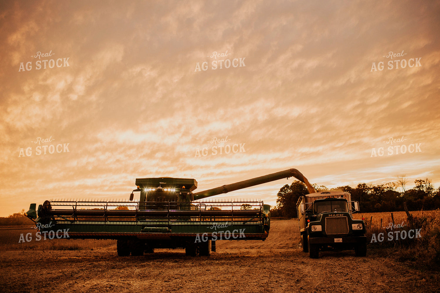 Harvest 2651