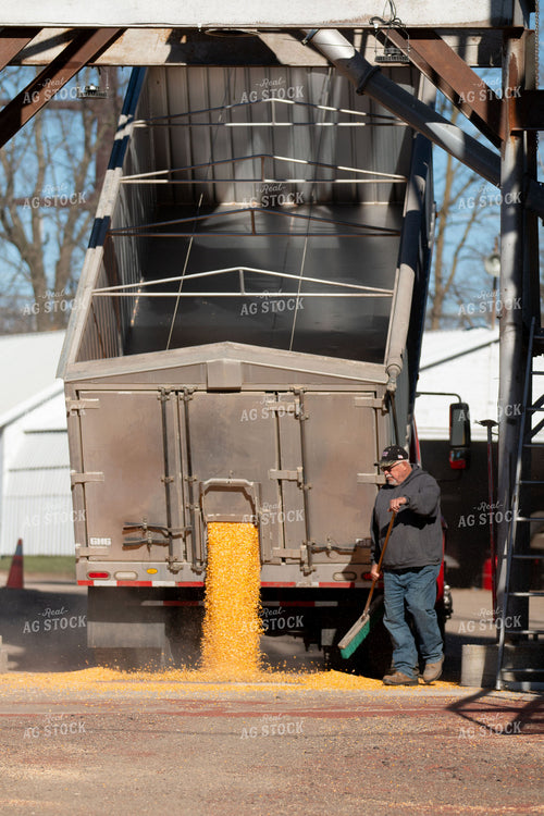 Dumping Grain 157073