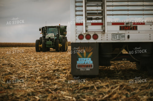 Corn Harvest 6593