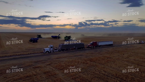Aerial of Wheat Harvest 199028