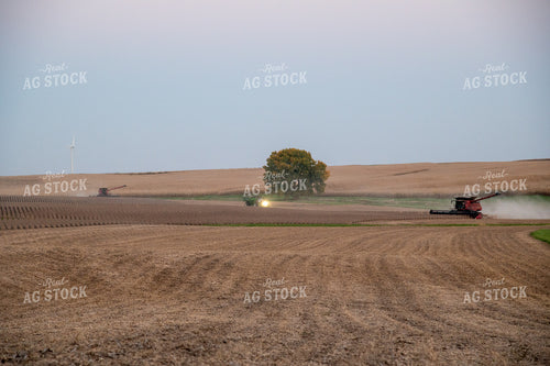 Two Combines Harvesting Soybeans at Sunset 25797