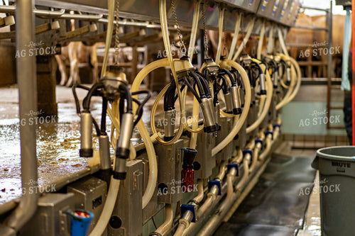Milking Unit 181023