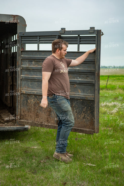 Farmer Closing Livestock Trailer 155626
