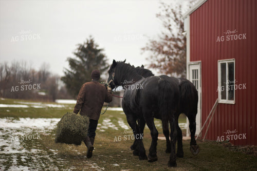 Rancher with Horses 73000