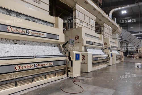 Cotton Processing Plant 79539