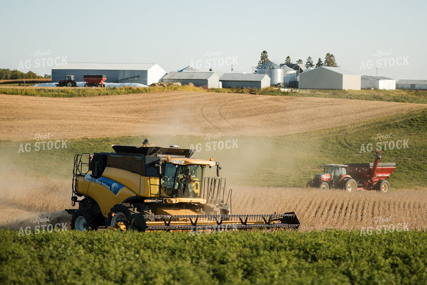 Soybean Harvest 215110
