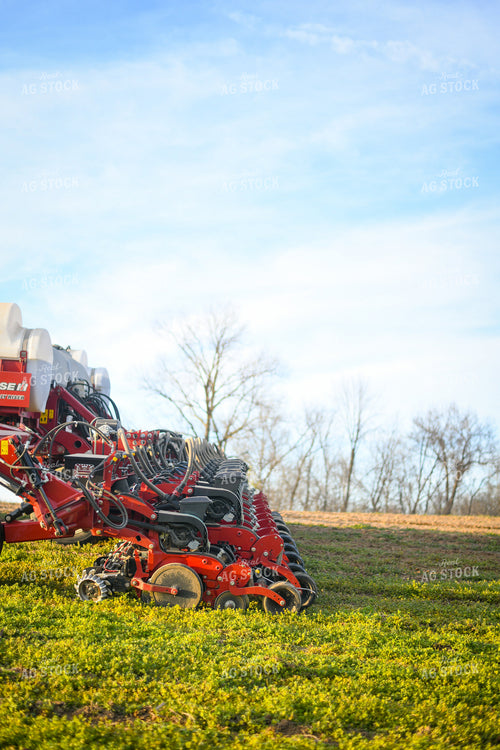 Planting 191001