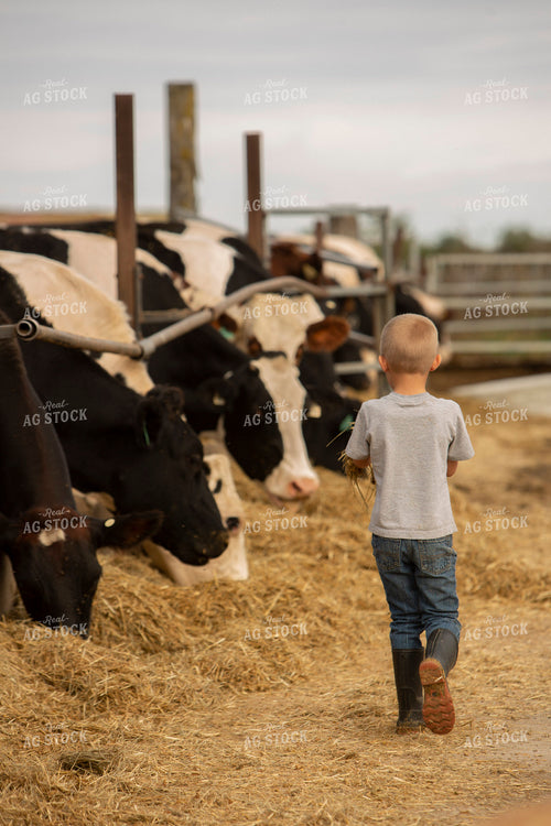 Dairy 2735