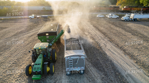Soybean Harvest 65244