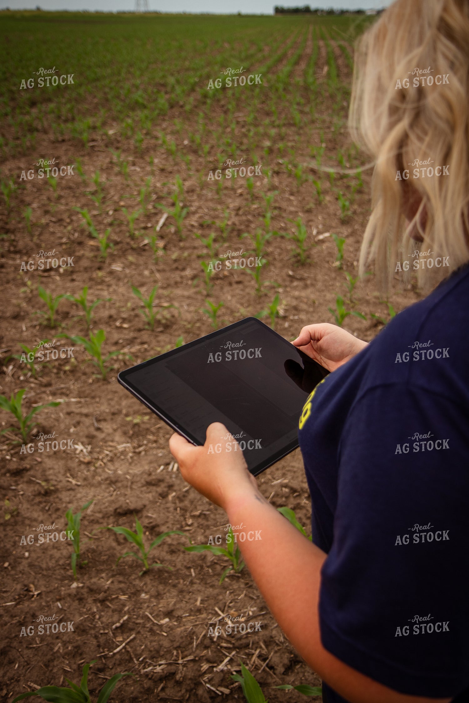 Female Agronomist Scouting Field 67745