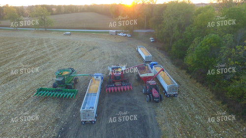 Unloading Corn into Semis 85042