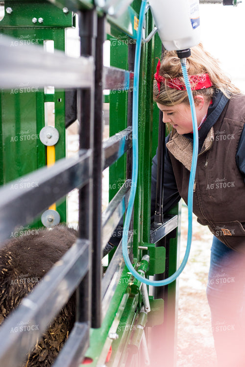 Farmer and Chute 74065