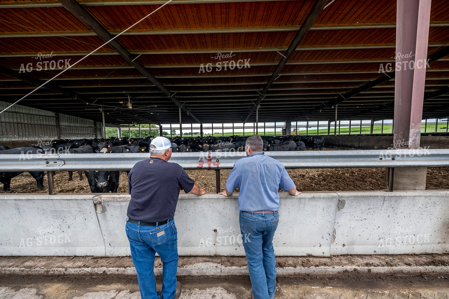 Farmers Leaning on Cattle Barn 250193