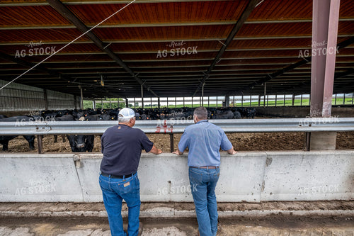 Farmers Leaning on Cattle Barn 250193