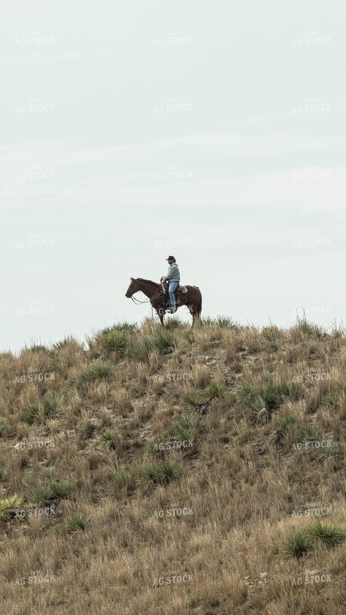Rancher on Horse at Top of Hill 114054