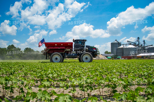 Spreading Dry Fertilizer in Cotton Field 136195