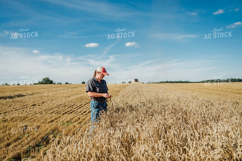 Female Farmer Sampling Wheat 115235