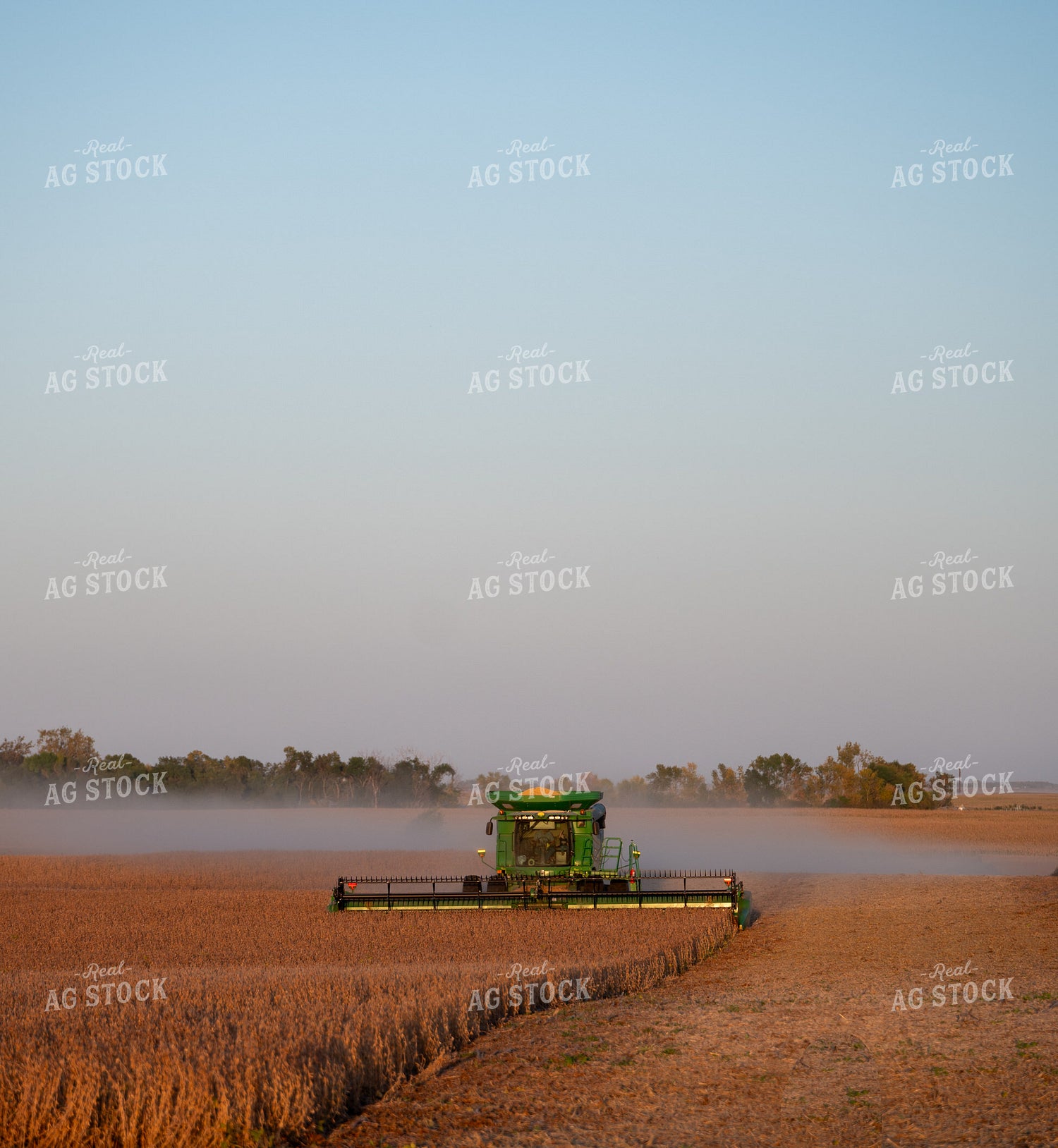 Soybean Harvest 185226