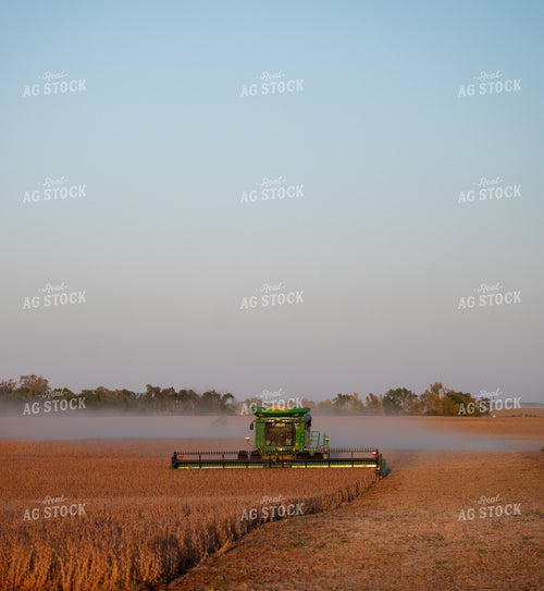Soybean Harvest 185226