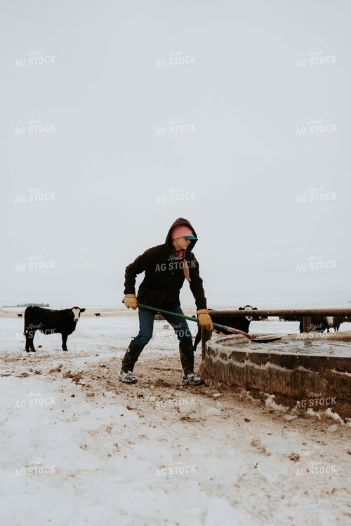 Female Rancher Breaking Up Water Trough 61172