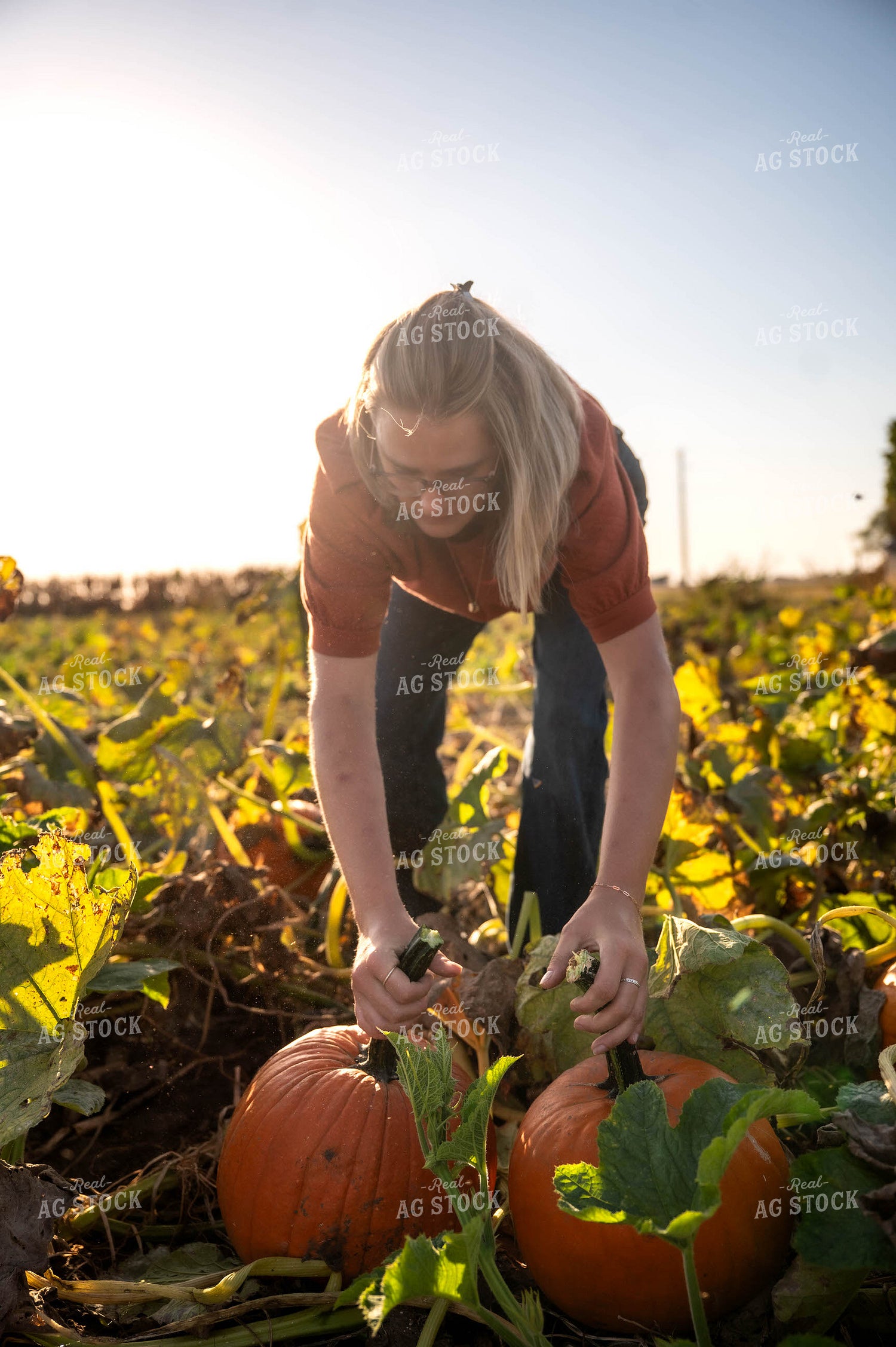 Farmer in Pumpkin Patch 115860