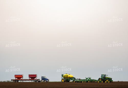 Planting 185203