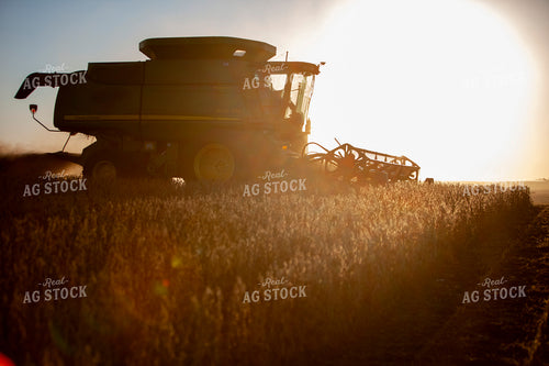 Harvest 1810