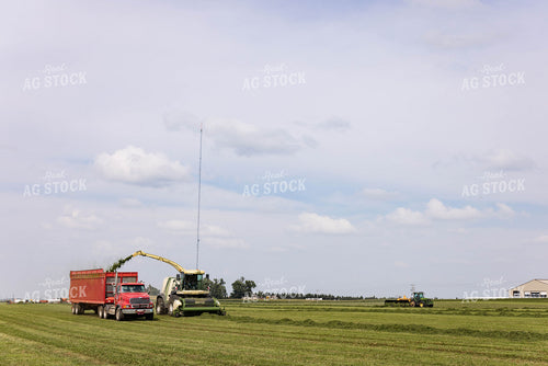 Harvesting Hay 152660