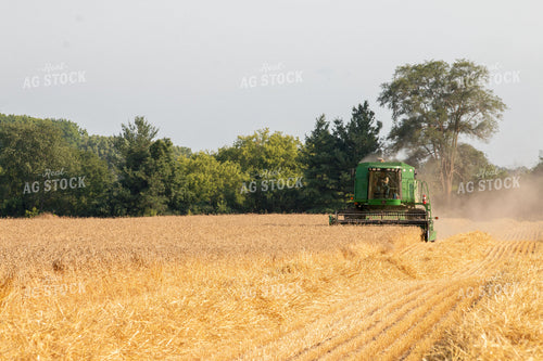 Wheat Harvest 157196