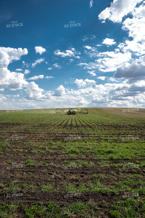 Planting into Cover Crops 76058