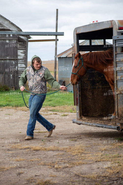 Rancher Unloading Chestnut Horse from Stock Trailer 406109